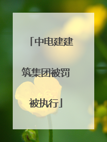中电建建筑集团被罚被执行