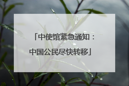 中使馆紧急通知：中国公民尽快转移