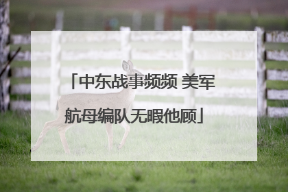 中东战事频频 美军航母编队无暇他顾