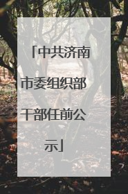中共济南市委组织部干部任前公示