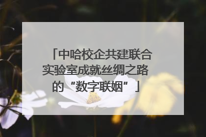 中哈校企共建联合实验室成就丝绸之路的“数字联姻”