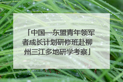 中国—东盟青年领军者成长计划研修班赴柳州三江多地研学考察