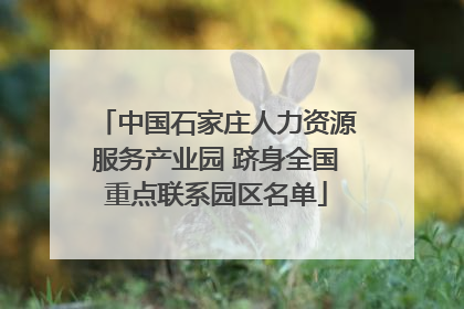 中国石家庄人力资源服务产业园 跻身全国重点联系园区名单
