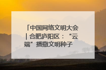 中国网络文明大会｜合肥庐阳区：“云端”播撒文明种子 共建清朗网络空间