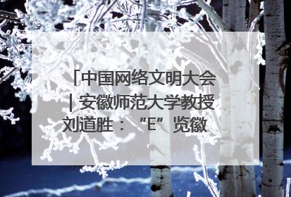 中国网络文明大会｜安徽师范大学教授刘道胜：“E”览徽风，构筑中华民族共有精神家园