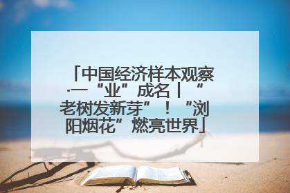 中国经济样本观察·一“业”成名丨“老树发新芽”！“浏阳烟花”燃亮世界