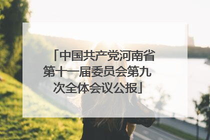 中国共产党河南省第十一届委员会第九次全体会议公报