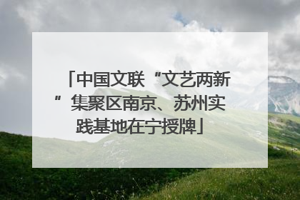 中国文联“文艺两新”集聚区南京、苏州实践基地在宁授牌
