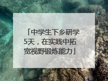 中学生下乡研学5天，在实践中拓宽视野锻炼能力