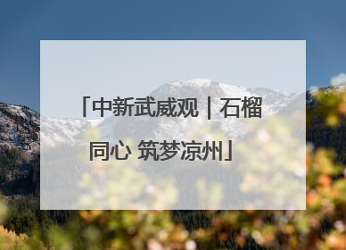 中新武威观｜石榴同心 筑梦凉州