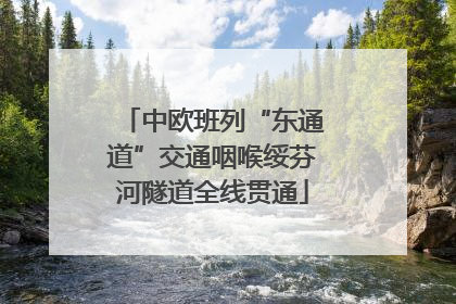 中欧班列“东通道”交通咽喉绥芬河隧道全线贯通