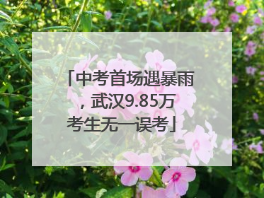 中考首场遇暴雨，武汉9.85万考生无一误考