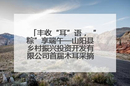 丰收“耳”语，“粽”享端午—山阳县乡村振兴投资开发有限公司首届木耳采摘活动盛大启幕