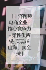 丰泽跨境电商企业：核心竞争力+柔性供应链 实现越山海、卖全球
