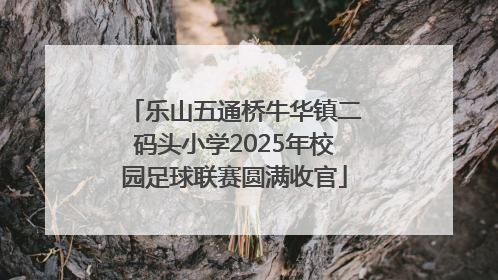 乐山五通桥牛华镇二码头小学2025年校园足球联赛圆满收官