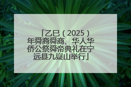 乙巳（2025）年舜裔舜商、华人华侨公祭舜帝典礼在宁远县九嶷山举行