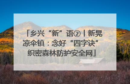 乡兴“新”语②丨新晃凉伞镇：念好“四字诀” 织密森林防护安全网
