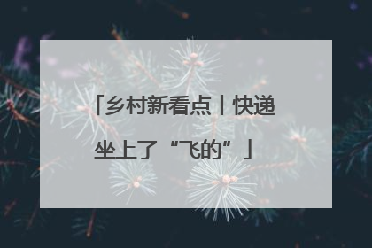 乡村新看点丨快递坐上了“飞的”