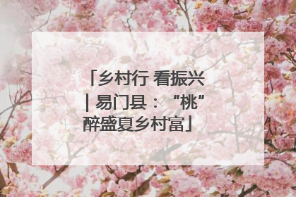 乡村行 看振兴｜易门县：“桃”醉盛夏乡村富