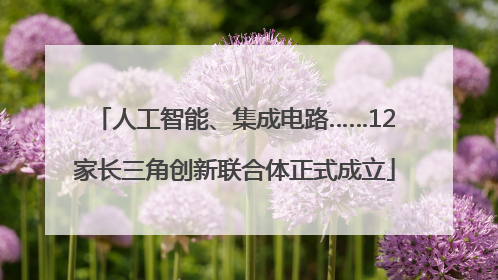 人工智能、集成电路……12家长三角创新联合体正式成立