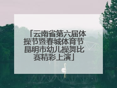 云南省第六届体操节暨春城体育节昆明市幼儿操舞比赛精彩上演