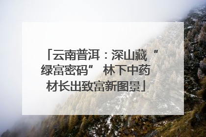 云南普洱：深山藏“绿富密码” 林下中药材长出致富新图景