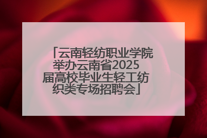 云南轻纺职业学院举办云南省2025届高校毕业生轻工纺织类专场招聘会