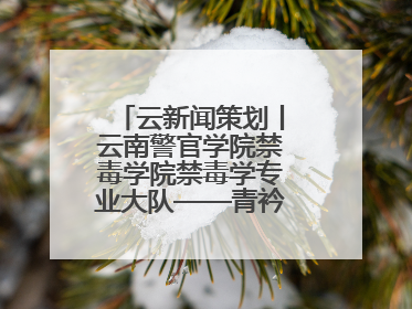 云新闻策划丨云南警官学院禁毒学院禁毒学专业大队——青衿之志辉映警徽