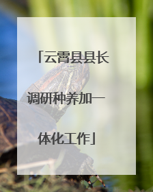 云霄县县长调研种养加一体化工作