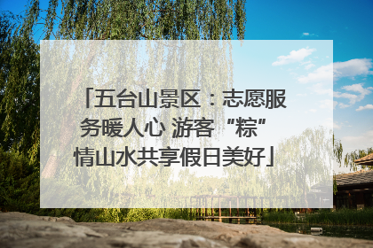 五台山景区：志愿服务暖人心 游客“粽”情山水共享假日美好