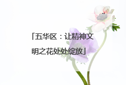 五华区：让精神文明之花处处绽放