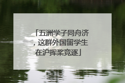 五洲学子同舟济，这群外国留学生在沪挥桨竞逐