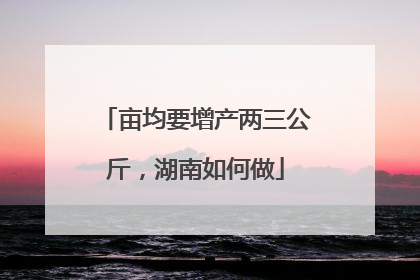 亩均要增产两三公斤，湖南如何做
