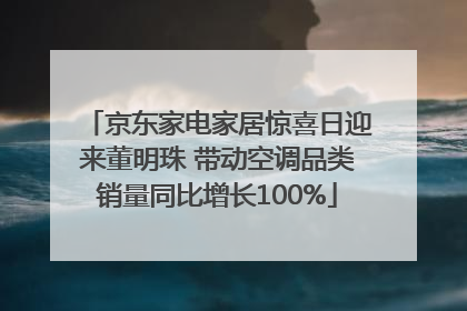 京东家电家居惊喜日迎来董明珠 带动空调品类销量同比增长100%