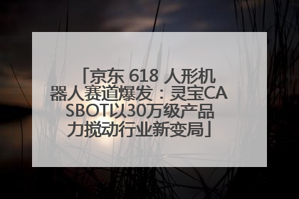 京东 618 人形机器人赛道爆发：灵宝CASBOT以30万级产品力搅动行业新变局