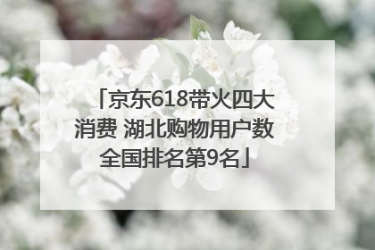 京东618带火四大消费 湖北购物用户数全国排名第9名