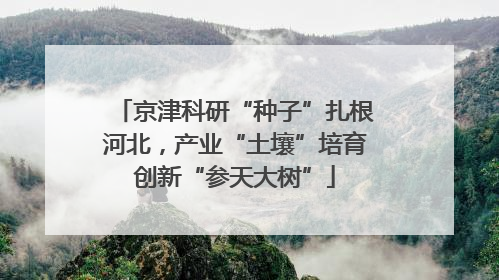 京津科研“种子”扎根河北，产业“土壤”培育创新“参天大树”