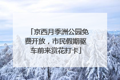 京西月季洲公园免费开放，市民假期驱车前来赏花打卡