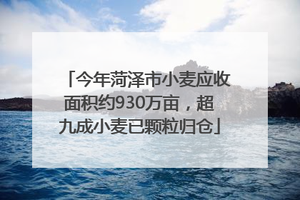 今年菏泽市小麦应收面积约930万亩，超九成小麦已颗粒归仓