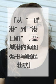 从“一群港”到“港口群”，盐城港向海图强书写崛起壮歌