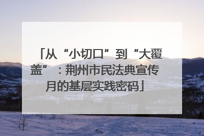 从“小切口”到“大覆盖”：荆州市民法典宣传月的基层实践密码
