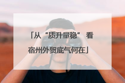 从“质升量稳” 看宿州外贸底气何在