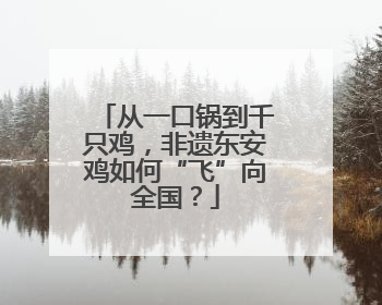 从一口锅到千只鸡，非遗东安鸡如何“飞”向全国？