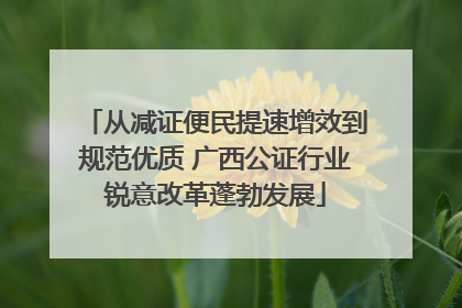 从减证便民提速增效到规范优质 广西公证行业锐意改革蓬勃发展