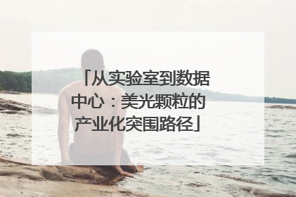 从实验室到数据中心：美光颗粒的产业化突围路径