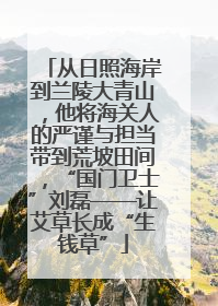 从日照海岸到兰陵大青山，他将海关人的严谨与担当带到荒坡田间，“国门卫士”刘磊——让艾草长成“生钱草”