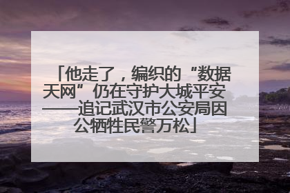 他走了，编织的“数据天网”仍在守护大城平安——追记武汉市公安局因公牺牲民警万松