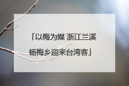以梅为媒 浙江兰溪杨梅乡迎来台湾客