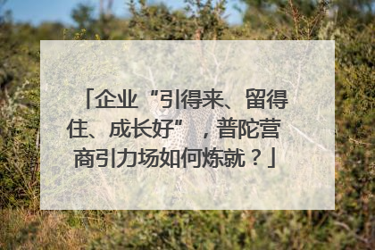 企业“引得来、留得住、成长好”，普陀营商引力场如何炼就？