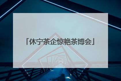 休宁茶企惊艳茶博会